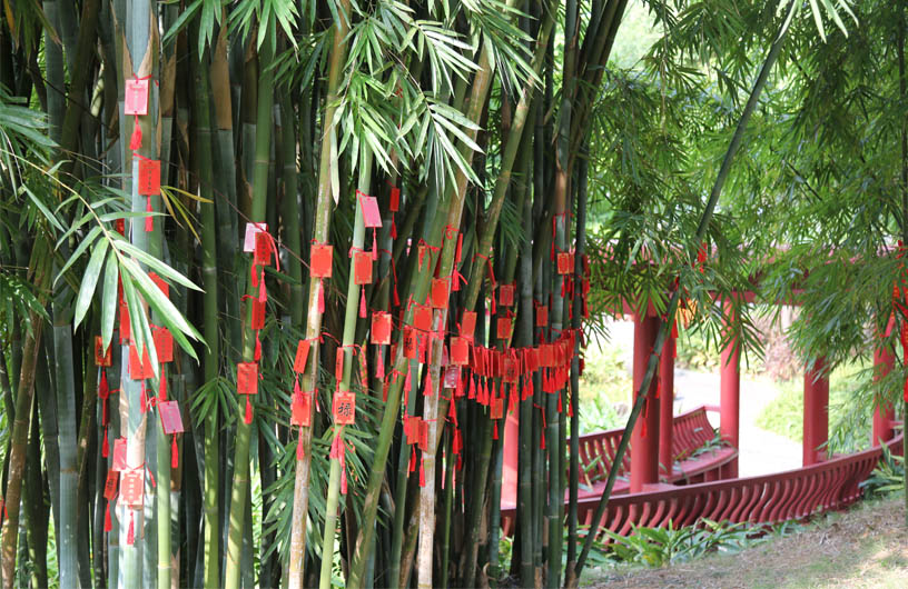 正翔照明南海影视城国庆游 (5)