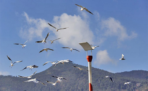 正翔户外照明 景观园林工程