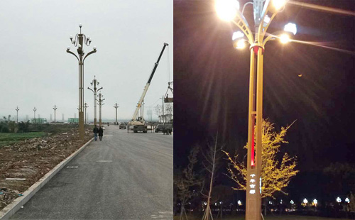 正翔照明四川乐山市犍为县玉兰灯工程