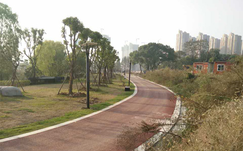 武汉汉阳区墨水湖公园景观亮化照明灯具案例