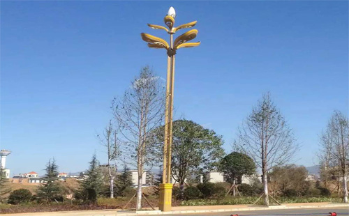 正翔户外照明参与云南昭通市路灯工程