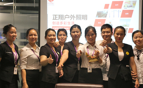 3月业绩评比太阳能路灯生产销售占比高