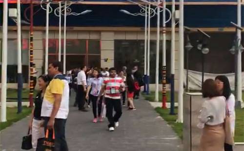 广交会海外采购团莅临国际路灯城，太阳能路灯led灯备受关注