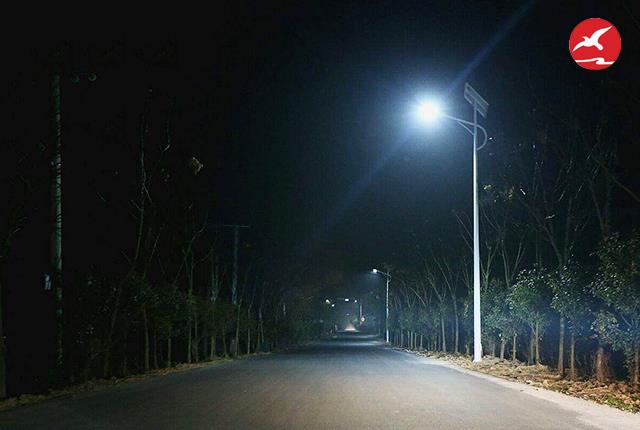 正翔照明农村太阳能路灯