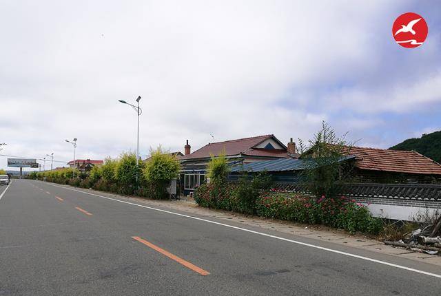 新农村太阳能路灯厂家