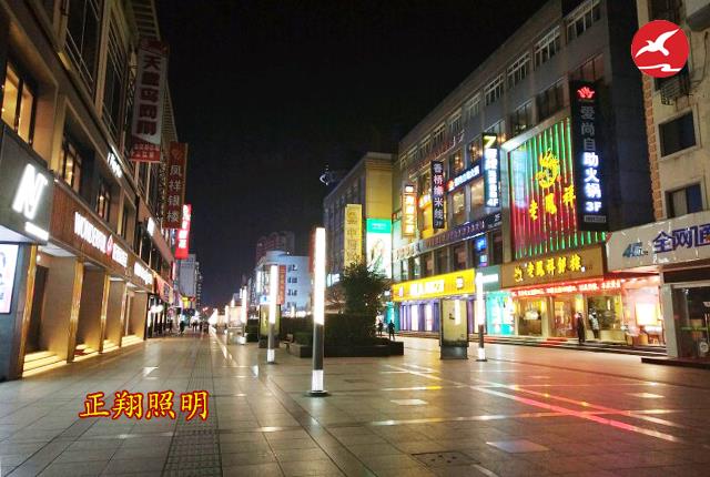 城市街道LED景观灯