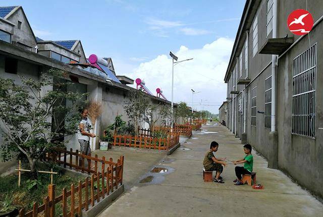 新农村太阳能路灯