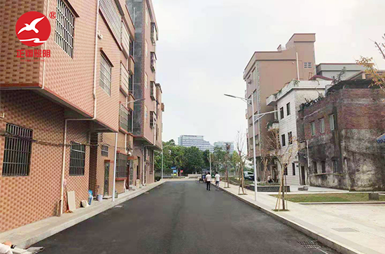  东莞新州新访LED路灯工程