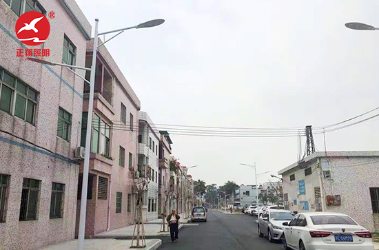  东莞新州新访LED路灯工程