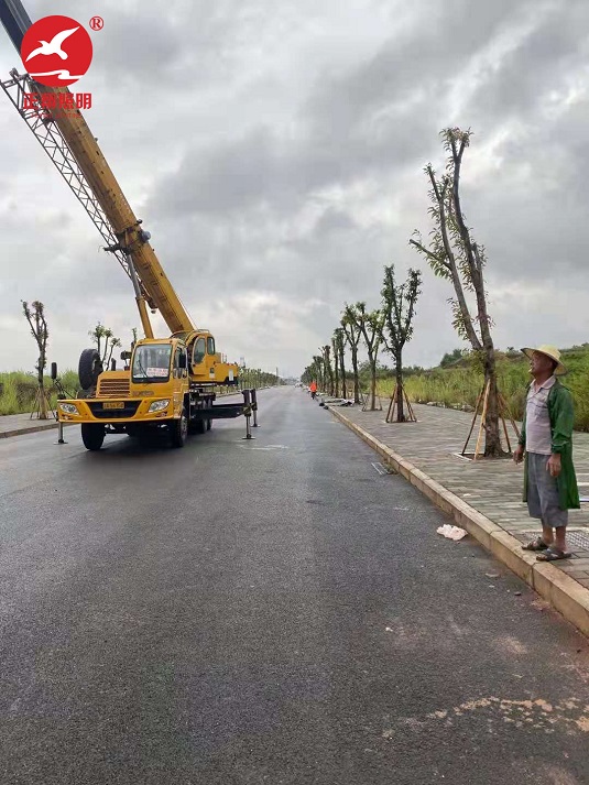 重庆潼南区市电路灯