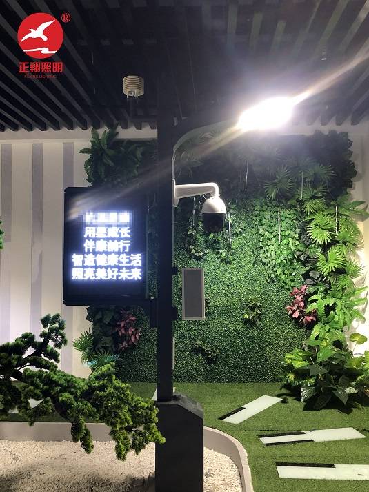 智慧路灯安装实拍图