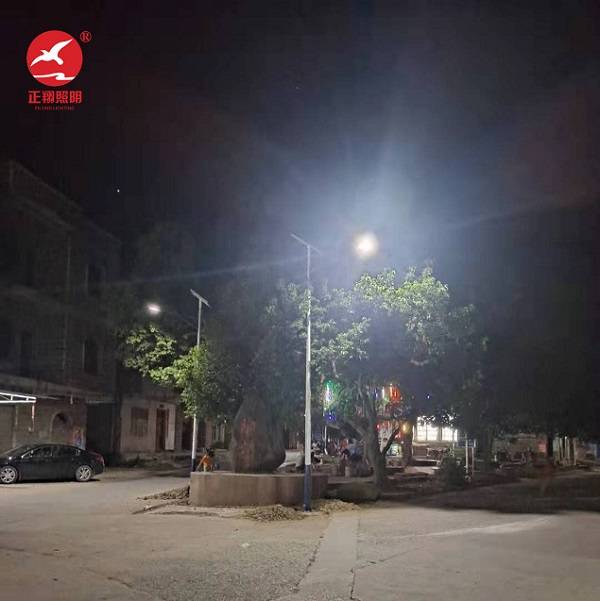 广西平乐县阳安乡陶村新农村太阳能路