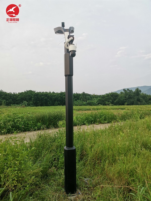 江苏泰州海陵区红旗大道智慧路灯安装