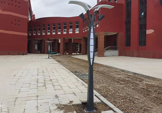 内蒙古师大盛乐小区图书馆路灯安装