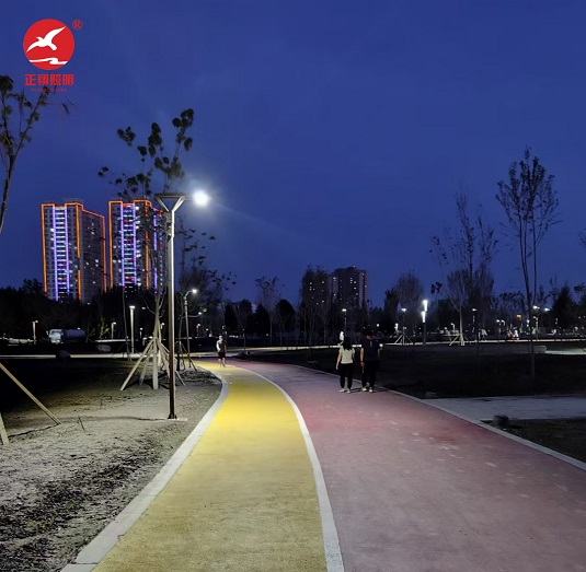 新疆哈密市伊州区公园景观灯