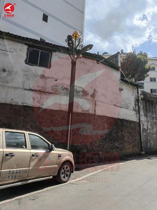 云南玉溪玉兰灯