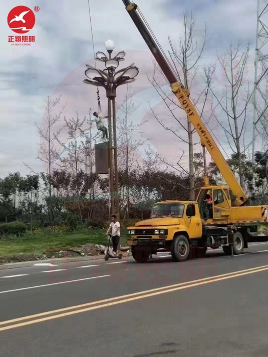 四川成都都姜堰景观玉兰灯