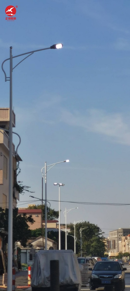 广东佛山高低臂市电路灯