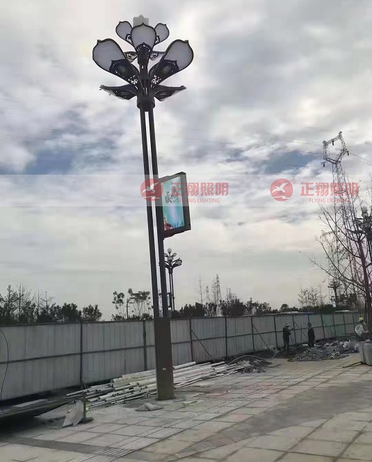 四川景观玉兰灯安装----实拍图