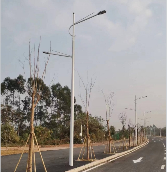 广东-惠州-惠城区江滨路市电路灯