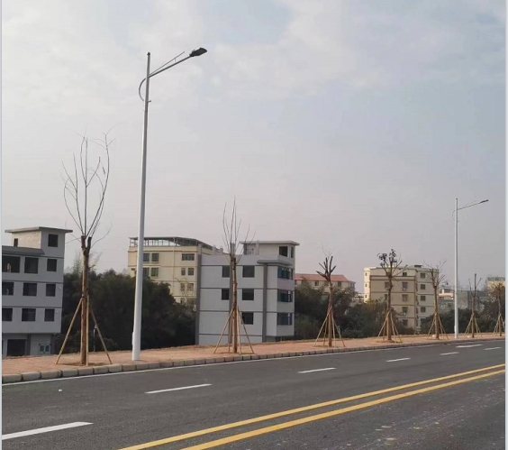 广东-惠州-惠城区江滨路市电路灯