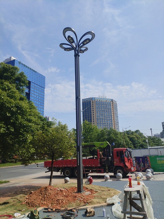 湖南-株洲醴陵市玉兰灯安装工程