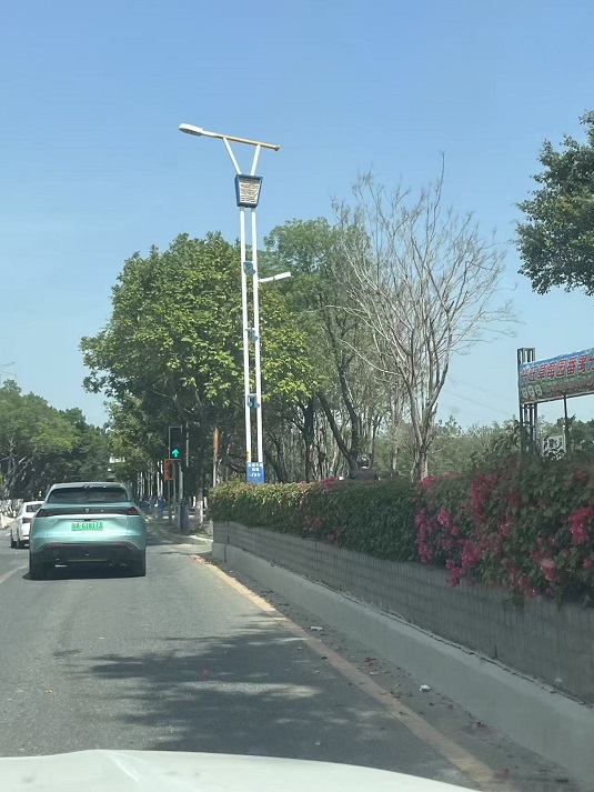 广州亚运大道市电路灯工程案例