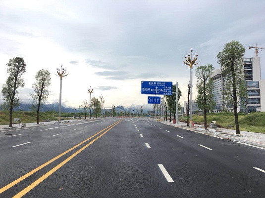 广东肇庆玉兰灯安装