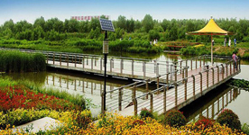 富含民族文化特色的中式庭院灯-正翔照明广州白云湖项目