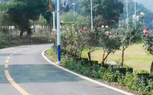 中山太阳能路灯厂家正翔案例