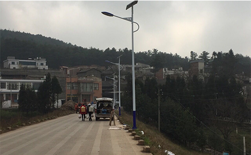 正翔路灯寒风中傲立