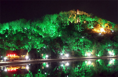 LED投光灯 正翔4020应用图2