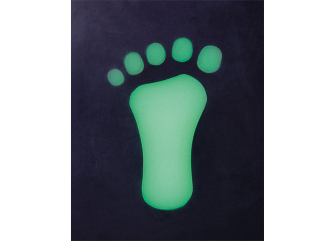 LED地砖灯-正翔8101