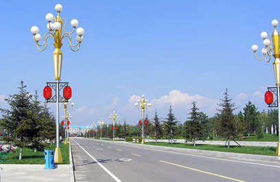 LED中国结路灯 正翔1202应用图4