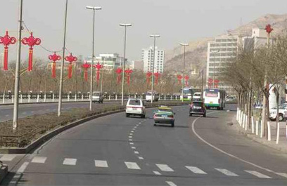 LED中国结路灯 正翔1204应用图2