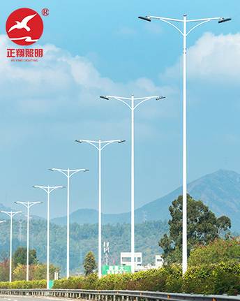 正翔LED路灯-2069