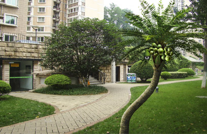 仿真椰子树-正翔8805应用图 (2)