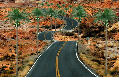 仿真椰子树-正翔8805应用图 (3)