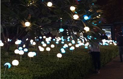 LED芦苇灯-正翔9201应用图 (3)