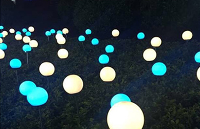 LED芦苇灯-正翔9201应用图 (4)