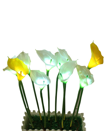 LED芦苇灯-正翔9202