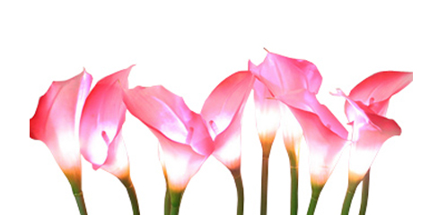 LED芦苇灯-正翔9202图 (1)