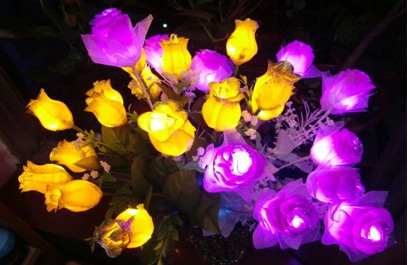 LED芦苇灯-正翔9202应用图 (1)