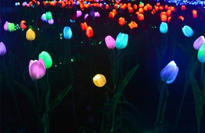 LED芦苇灯-正翔9202应用图 (2)