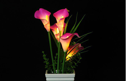 LED芦苇灯-正翔9202应用图 (3)