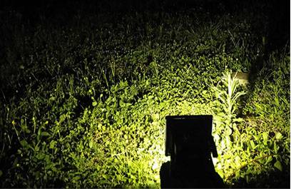 LED投光灯 正翔4007应用 (3)