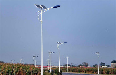 LED路灯头 正翔2907应用图 (1)