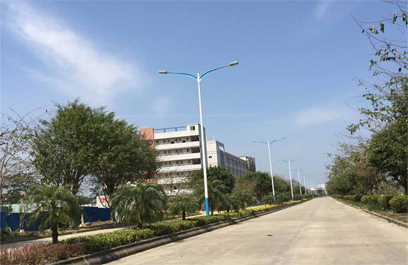 LED 路灯&mdash;正翔2402应用图1 (1)
