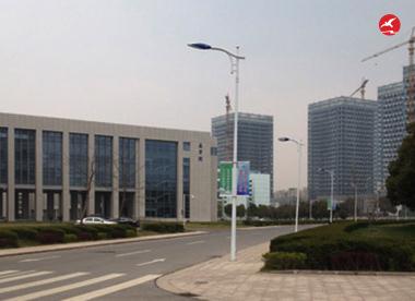 正翔照明路灯头2904应用图3