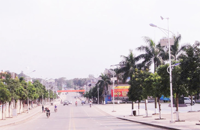 太阳能风光互补路灯 正翔2306应用图4